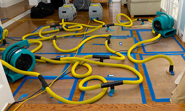 Professional Crawl Space Water Removal technician working in Greenwich, OH